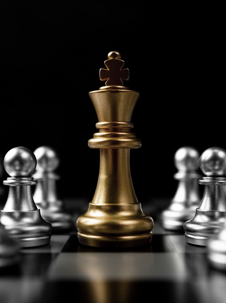 Protected Investment Portfolio